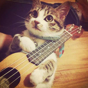 刘钰儿光屁屁图片
